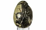 Septarian Dragon Egg Geode - Black Crystals #157895-1